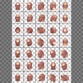 Edge Bald