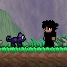cxsir's Hatless Black Cat