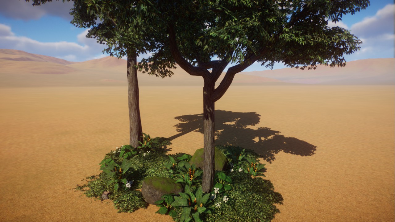 South American Foliage 003