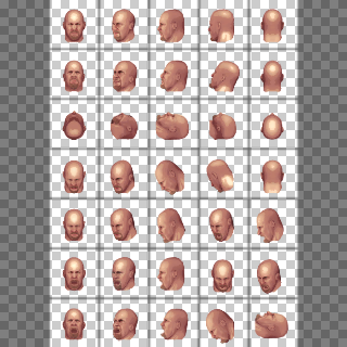 Stone Cold Steve Austin