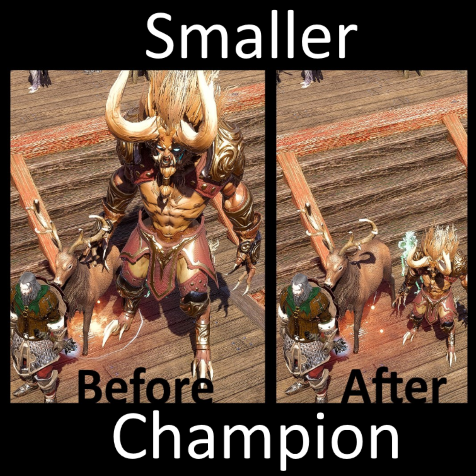 SmallerChampion
