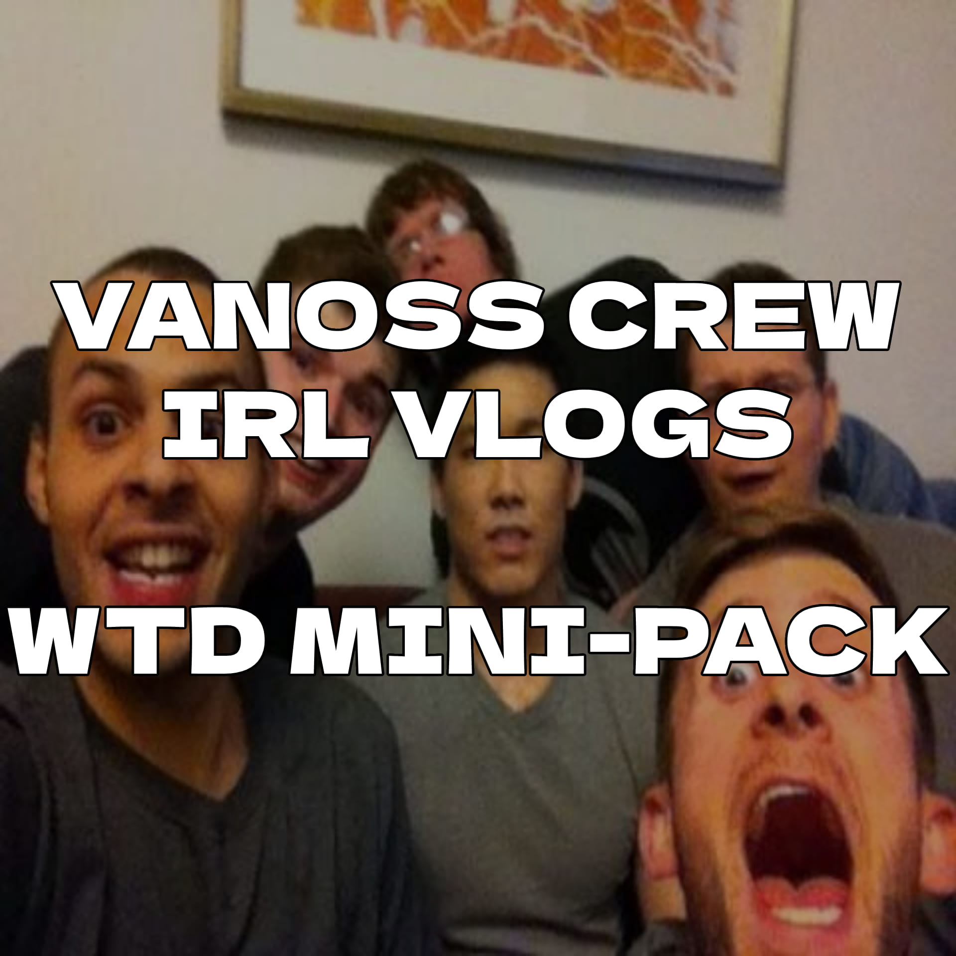 Vanoss Crew IRL Vlogs - Mini-Pack