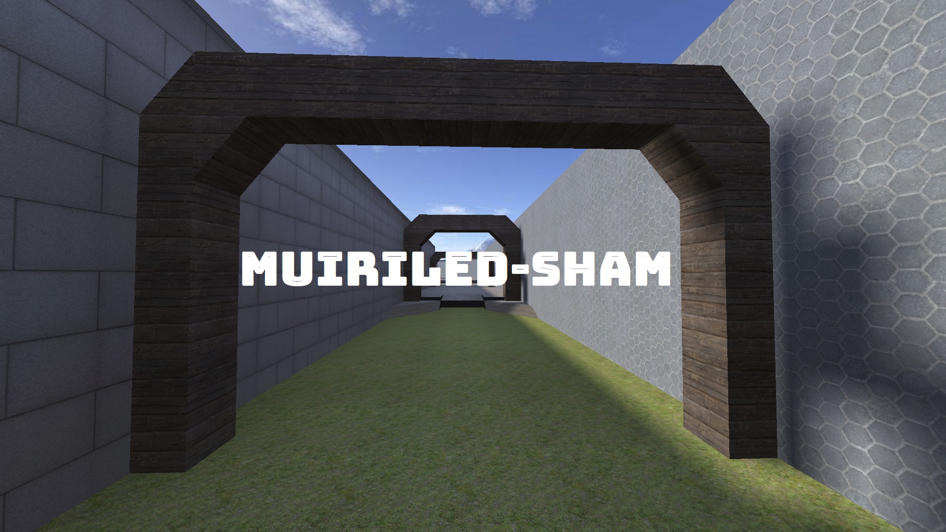 muirileD-sham