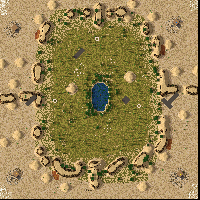oasis villager
