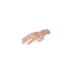 Dismembered Hand