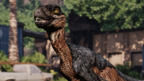 Sparrowhawk Novaraptor