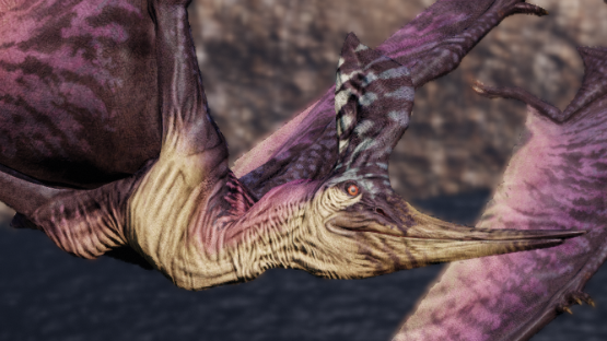 Allium Geosternbergia/Pteranodon sternbergi