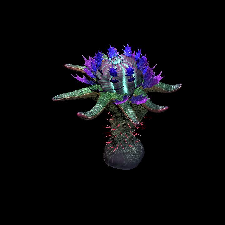 Fey Plant