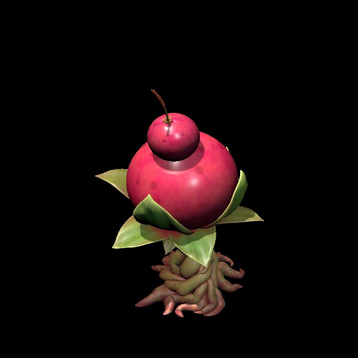Fey_Plant (2)