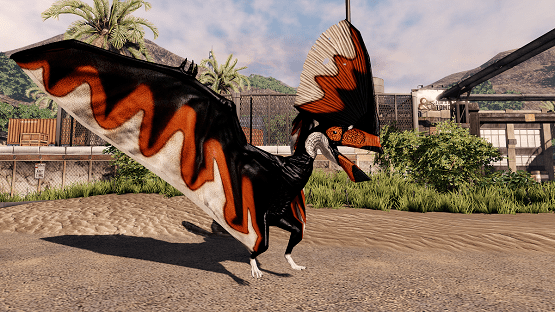 Toucan Tupa (Reworked)