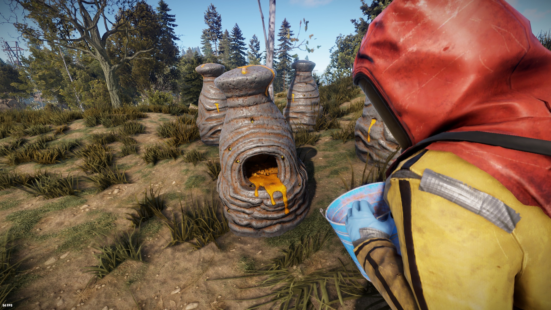 Bee Hive