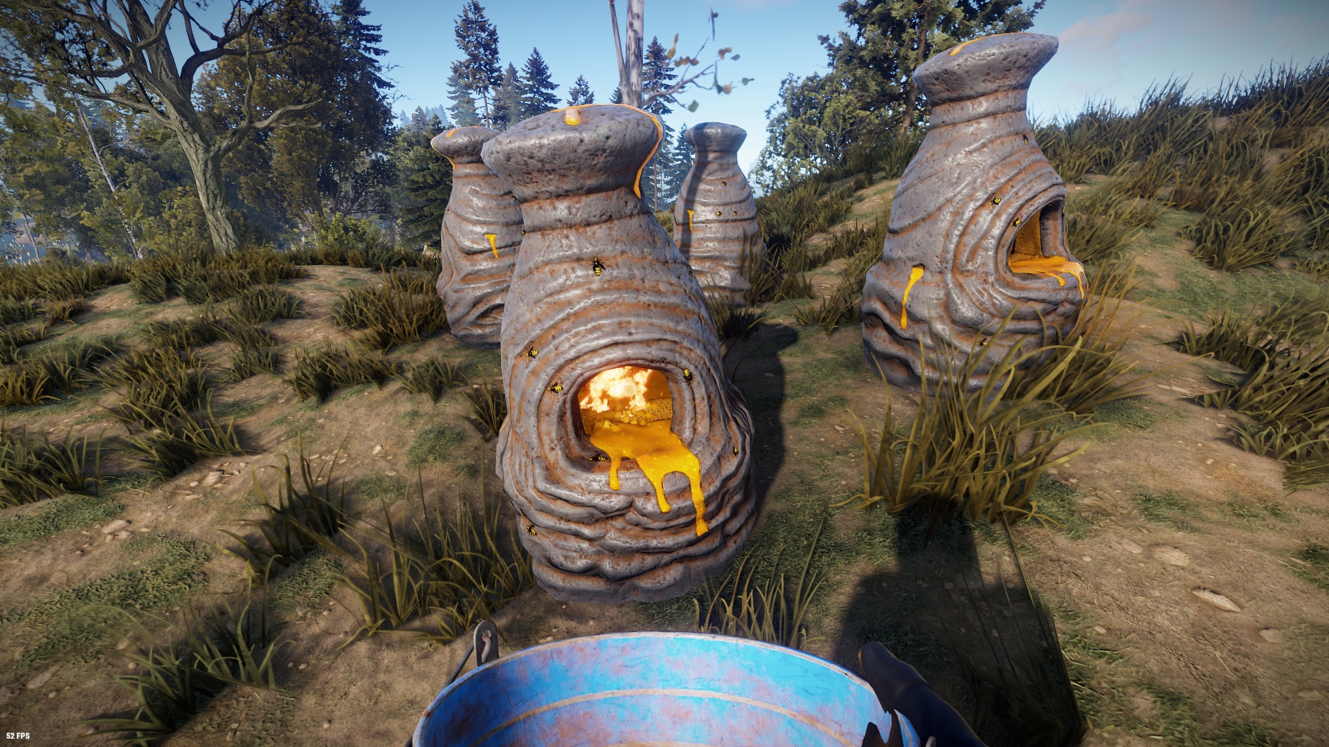 Bee Hive