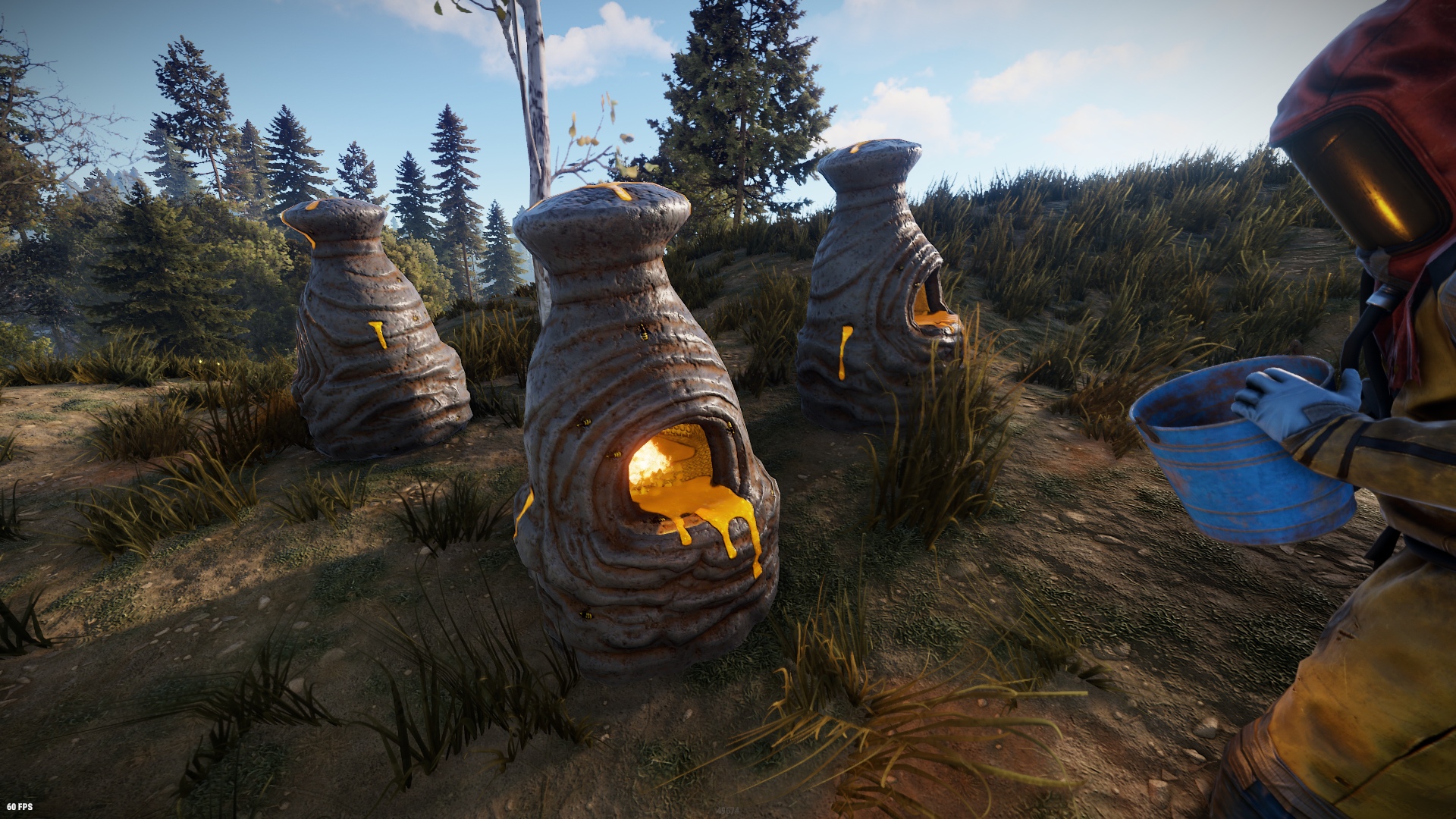 Bee Hive