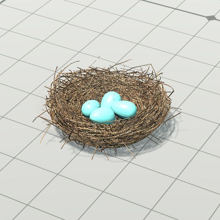 Nest, Robin