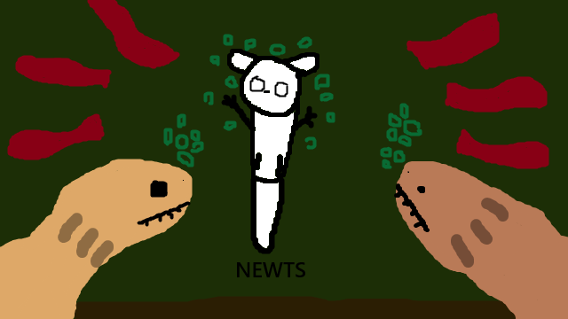 Newts