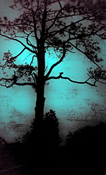 Dark Art Series4