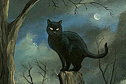 Dark Art 2 Black Cat