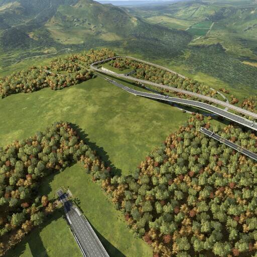 Crazy Valley
