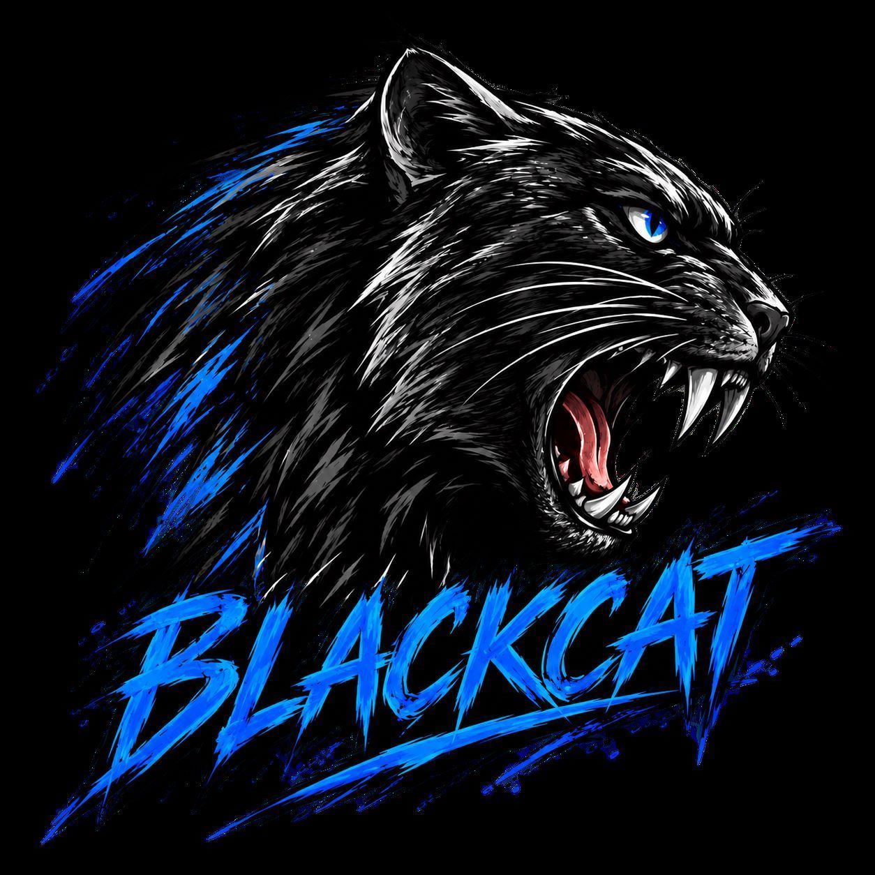 BlackcatServerModPack