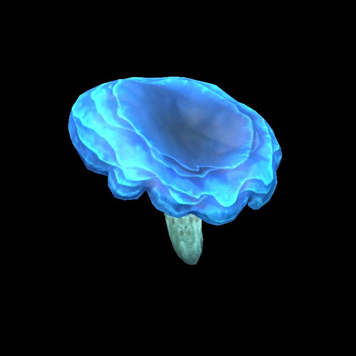 Mushroom_05