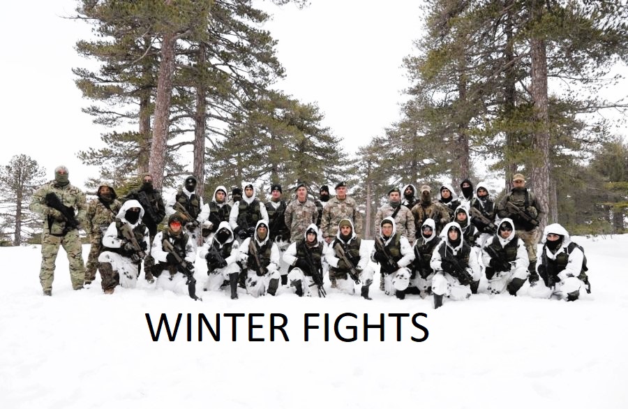 BATLE_SIM_WINTER_FOREST