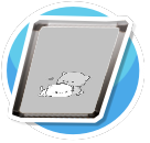 cats picture