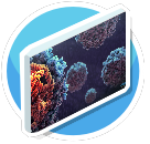 Reseach 4