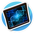 DNA 4