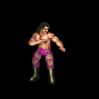 Rick Rude