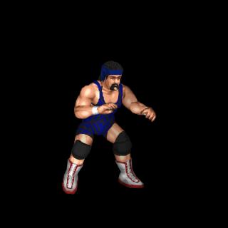 Rick Steiner
