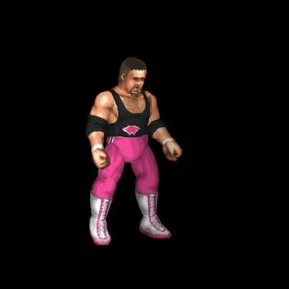 Jim Neidhart