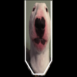 Walter