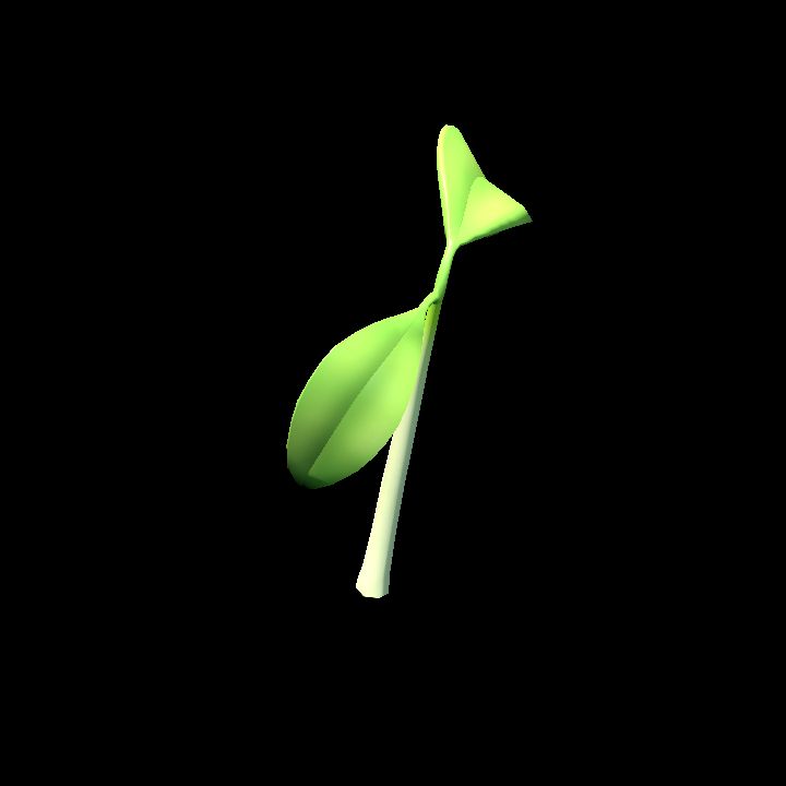 Seedling 2