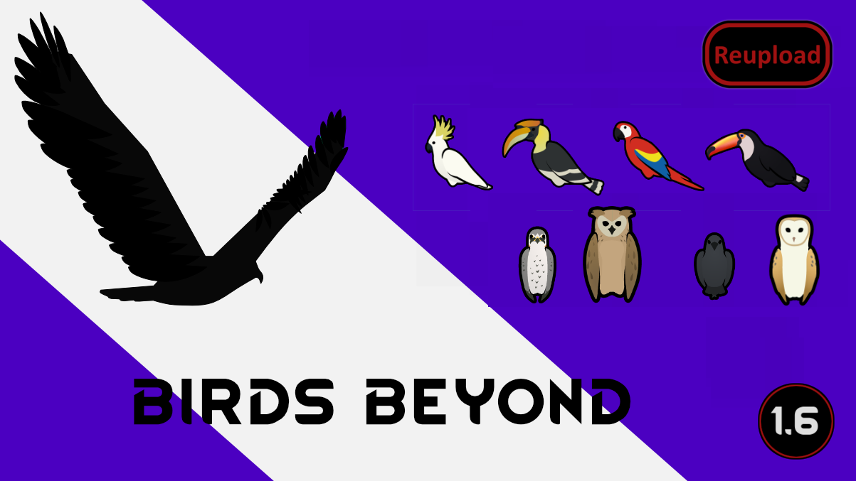 Birds Beyond (Continued)