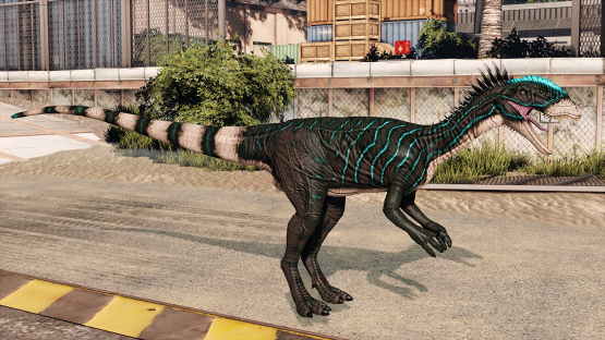 Blue Striped Dilo