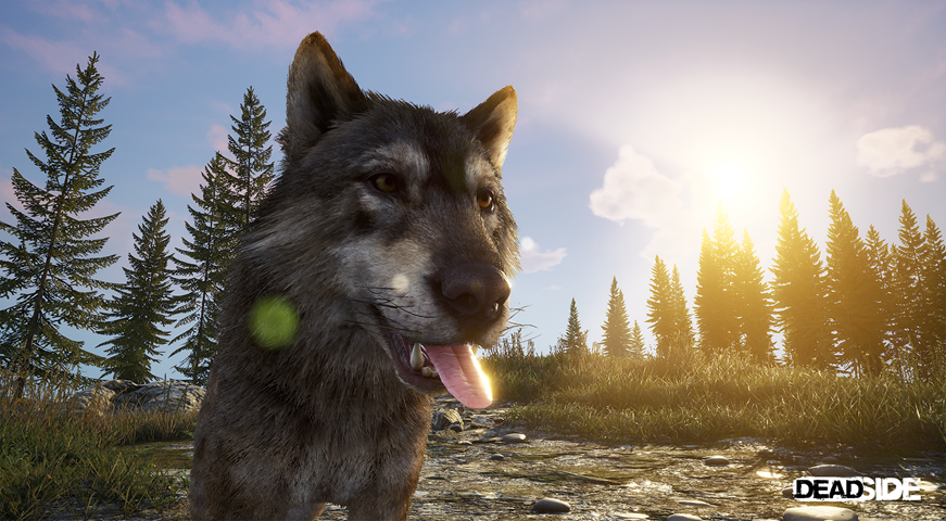 Craft Meat from Wolf (1.7)