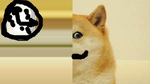 Ðoggo rush!