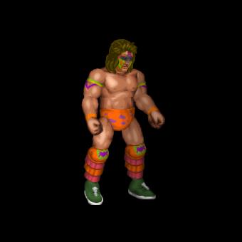 The Ultimate Warrior