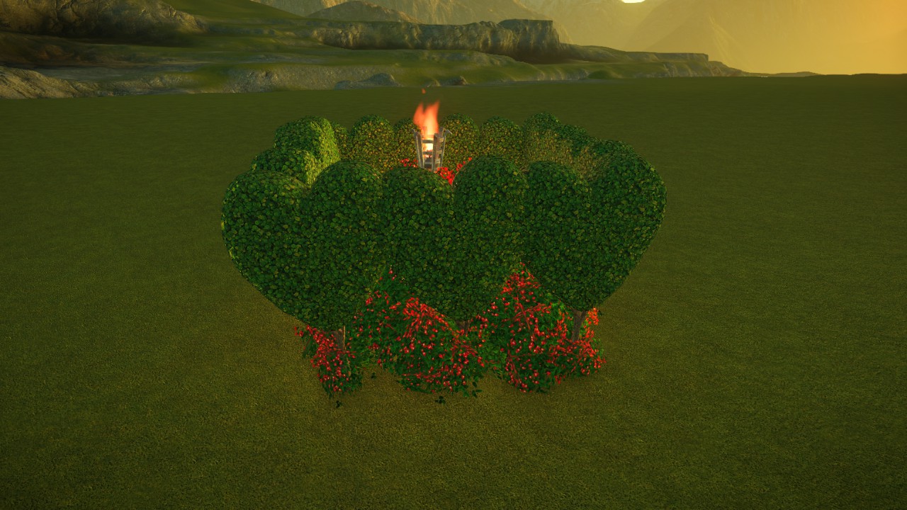 Princess Fantasy Hedge topiary