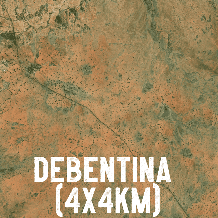 Debentina