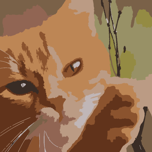 Curious Cat