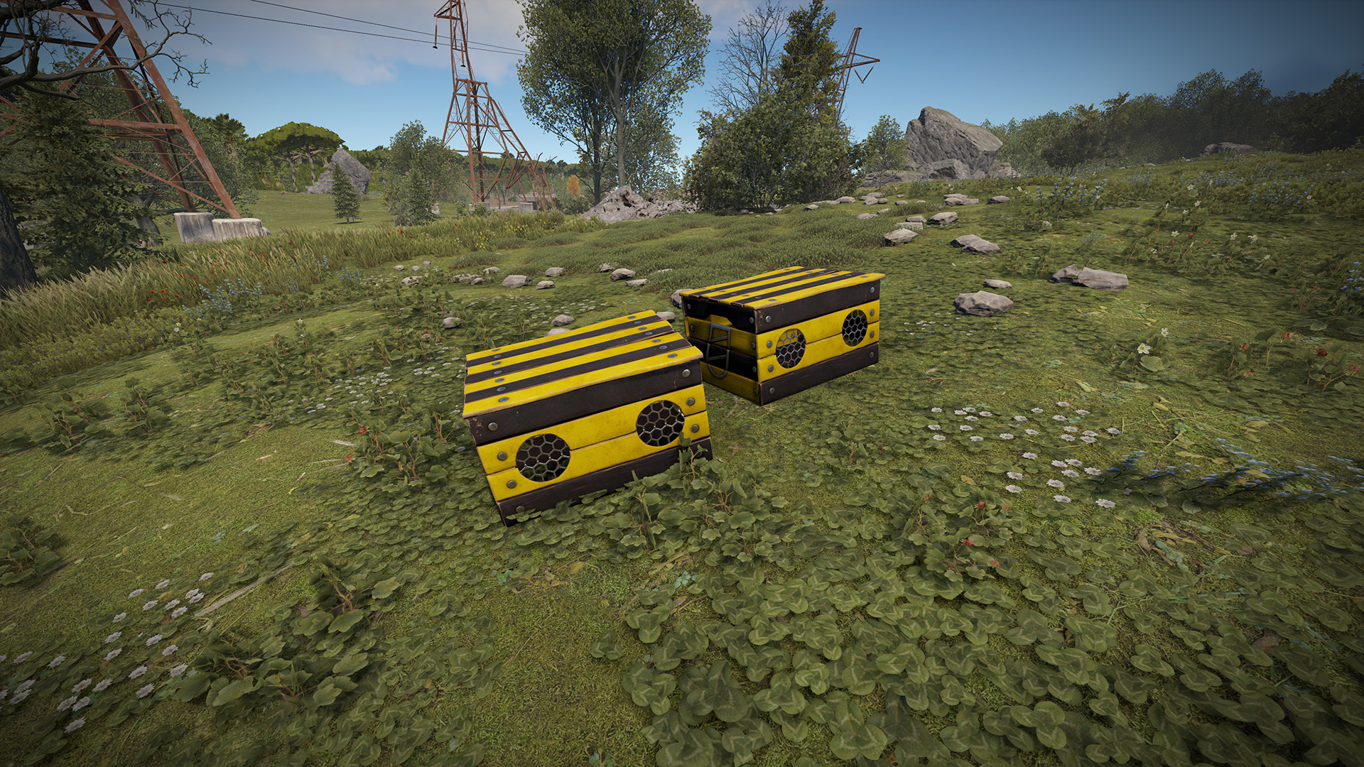 Bee Box thumbnail 7