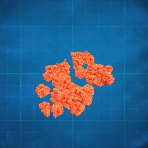 Huge Group Natural Ocean Coral Reef