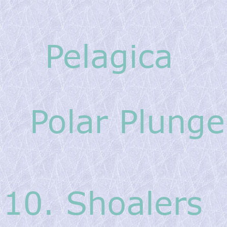 Pelagica - Polar Plunge - Shoalers