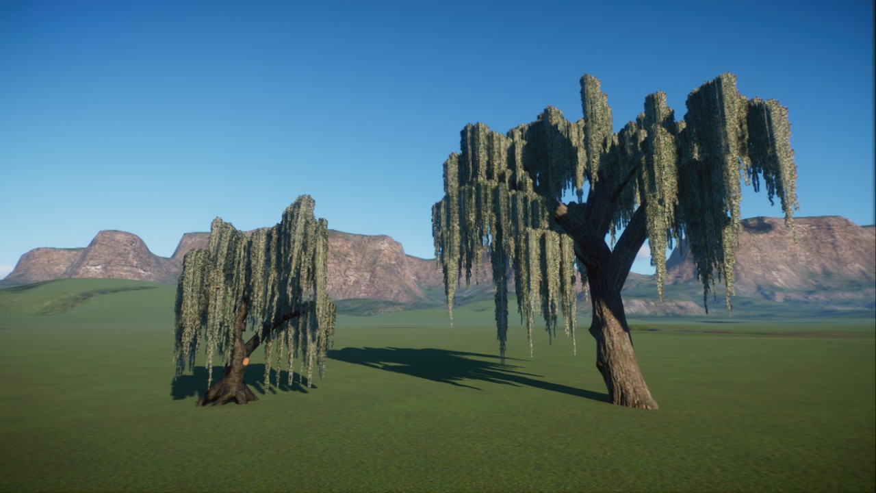 Weeping willow