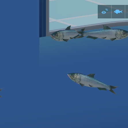 Atlantic Herring