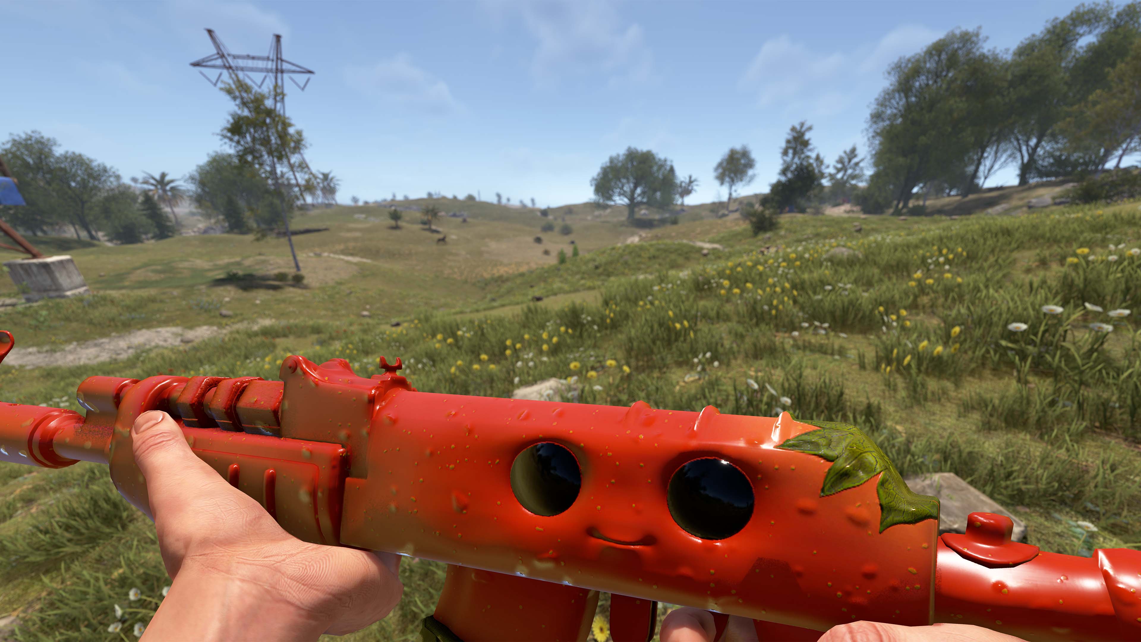 Señor Tomato AR thumbnail 7