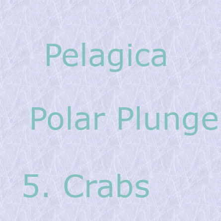 Pelagica - Polar Plunge - Crabs