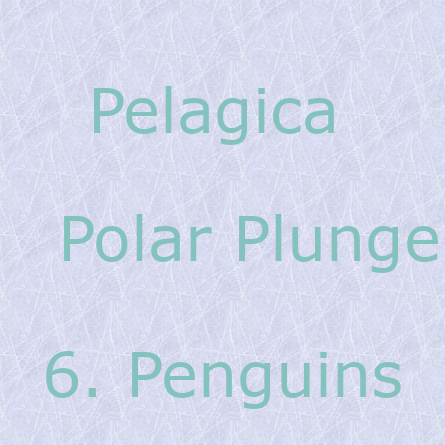 Pelagica - Polar Plunge - Penguins