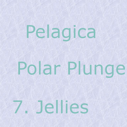 Pelagica - Polar Plunge - Jellies